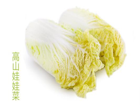高山娃娃菜