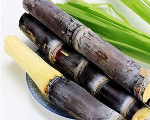 適合秋冬季節(jié)吃的爽口甘蔗吃了嗎？
