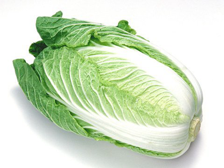 精選大白菜