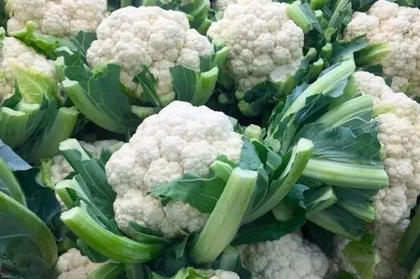 5月提醒大家：3種蔬菜渾身“堆滿”寄生蟲 寧愿不吃，也不去碰