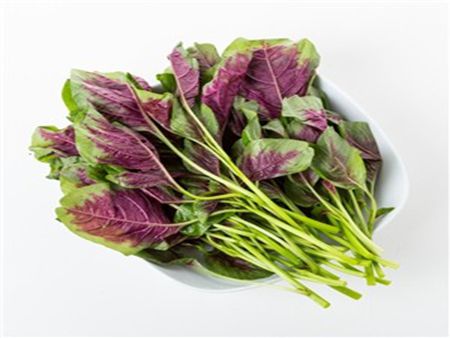 莧菜