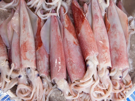 凍魷魚