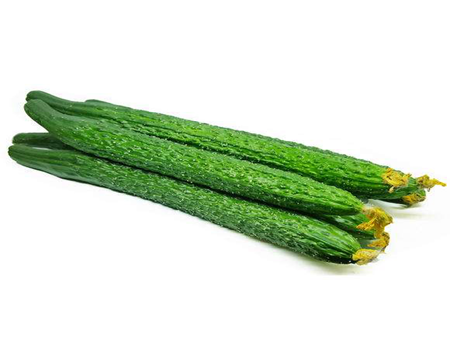 黃瓜（青）