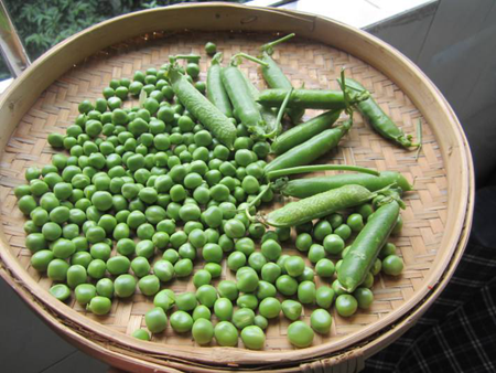 鮮豌豆米