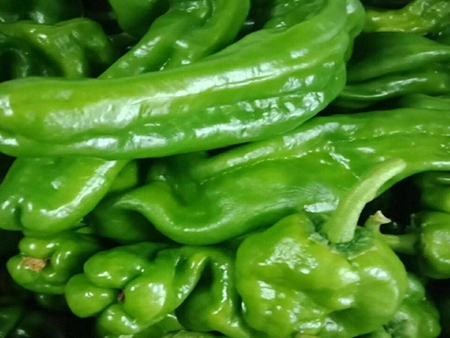 鮮大青椒