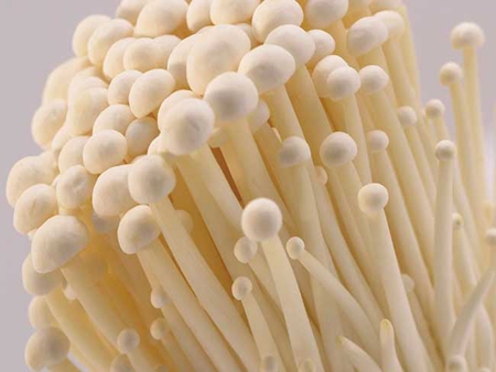 白金針菇