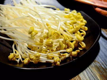 井水豆芽
