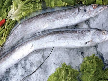 帶魚10kg 3/5