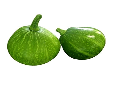 青皮嫩南瓜（圓）