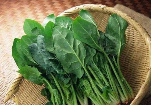 重慶生鮮配送公司教您如何保存蔬菜？