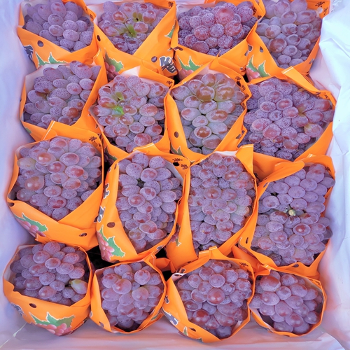 劃得著（重慶）食品配送有限公司之新增產(chǎn)品（三）