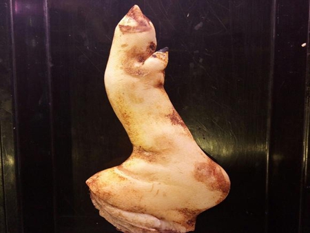 鮮豬后腳