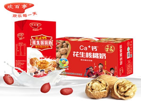 天友康美核桃花生爽250ml*120