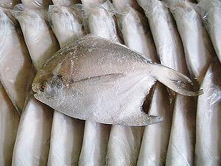 鯧魚