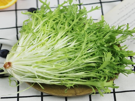 精選苦菊