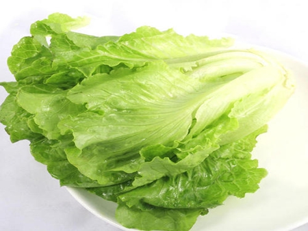 云南生菜