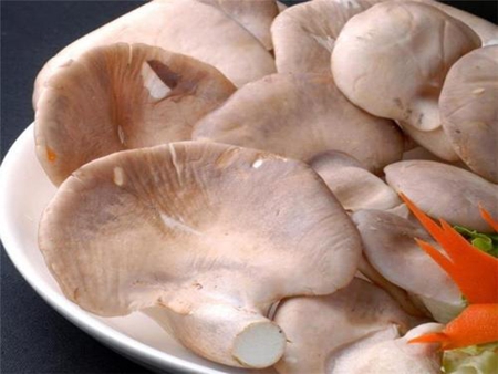 優(yōu)選鮑魚菇