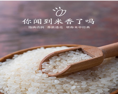 米—?jiǎng)澋弥ㄖ貞c）食品配送