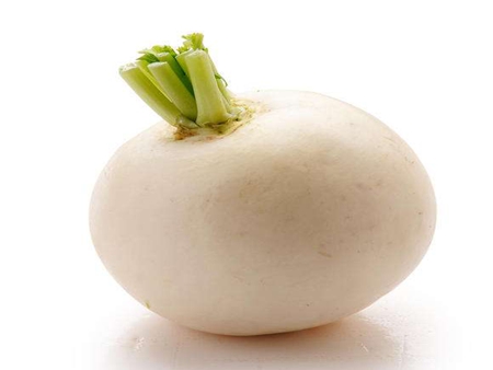 圓白蘿卜