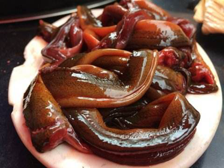 土鱔魚