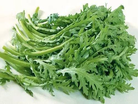 優(yōu)質(zhì)茼蒿