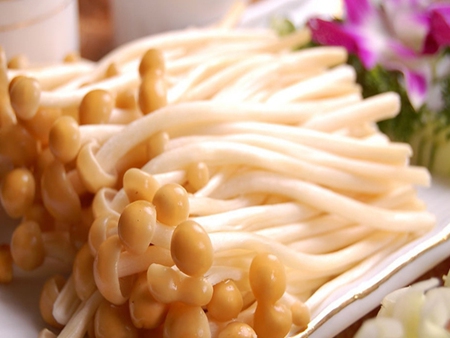 黃金針菇